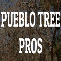 Pueblo Tree Pros image 5